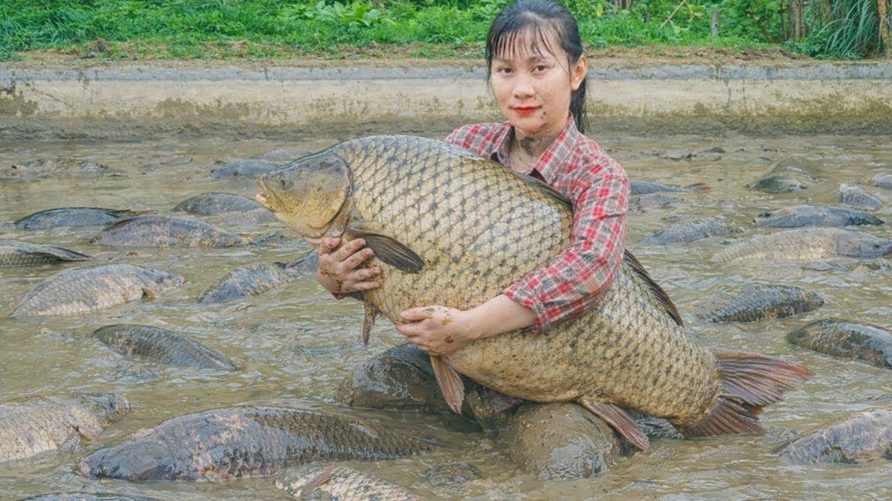 Poor Girl Catches Giant Fish Daily to Sell at Market and Save Money Alone