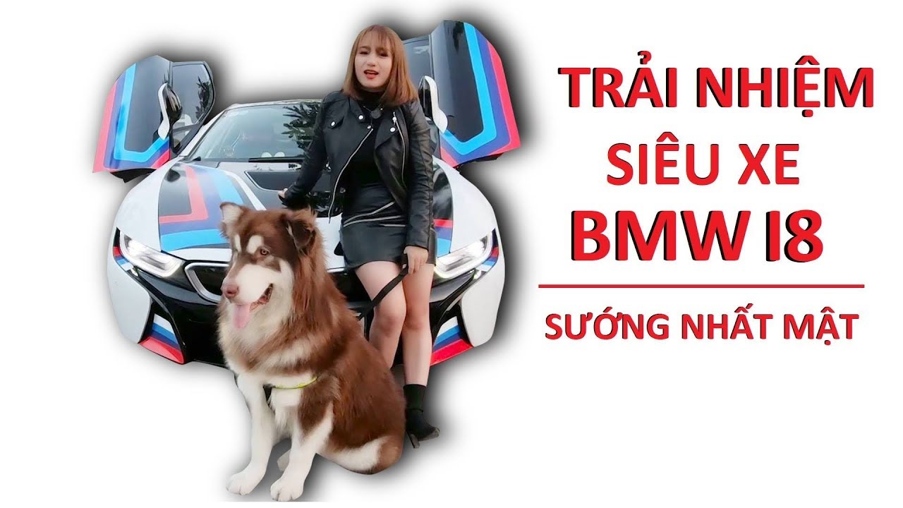 Chó Mật đi siêu xe BMW I8 quá sốc thử phản ứng người đi đường - Mật Pet Family
