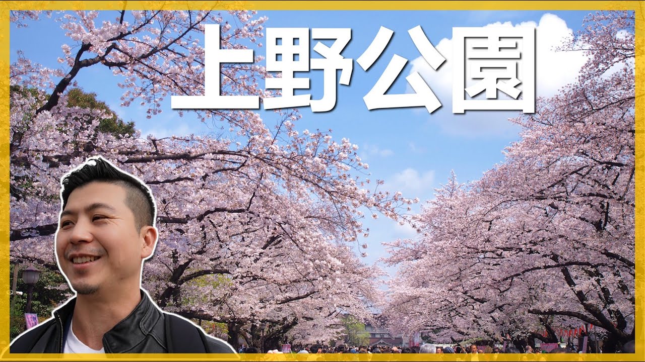 【日本系列15】上野恩賜公園櫻花，東京都內三大賞櫻名所之一。全長1200棵各式櫻花，還有夜市可以吃。＃上野公園＃伊恩愛種花