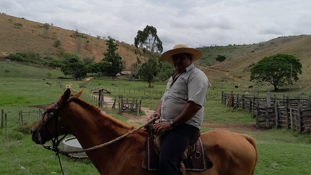 Mostrando as Belezas de Minas Gerais.🐎 😍🙌🏻
