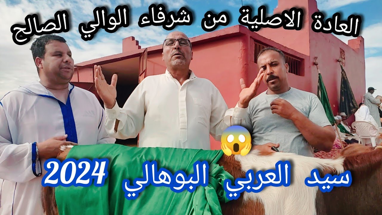 العادة الآصلية من شرفاء الوالي الصالح سيد العربي البوهالي😍 من قبيلة دوار زعارة  2024 🇲🇦 😱