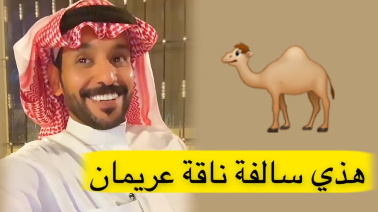 سالفة ام حمدي الفريدي (ناقة عريمان)