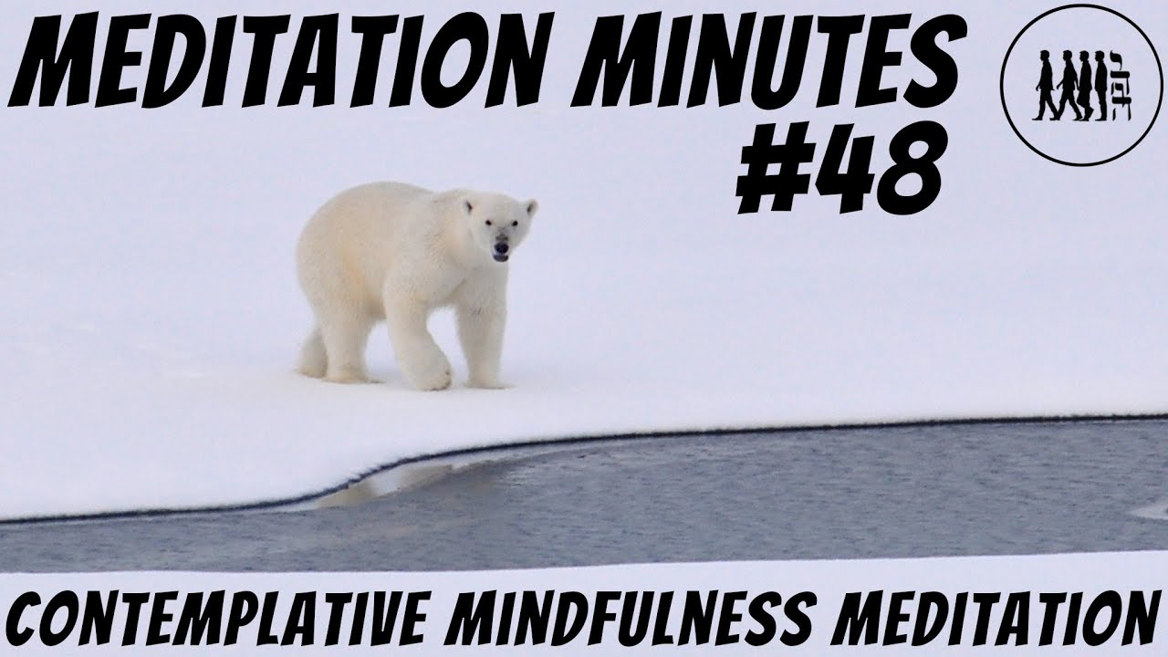 🧘 Mindfulness Meditation Minutes #48 🙏 All is One - The Direct Path to Self