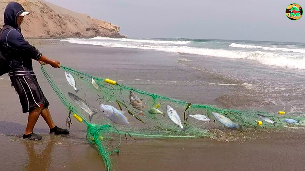 GRAN PESCA CON RED EN EL MAR - PESCADOR EXPERTO