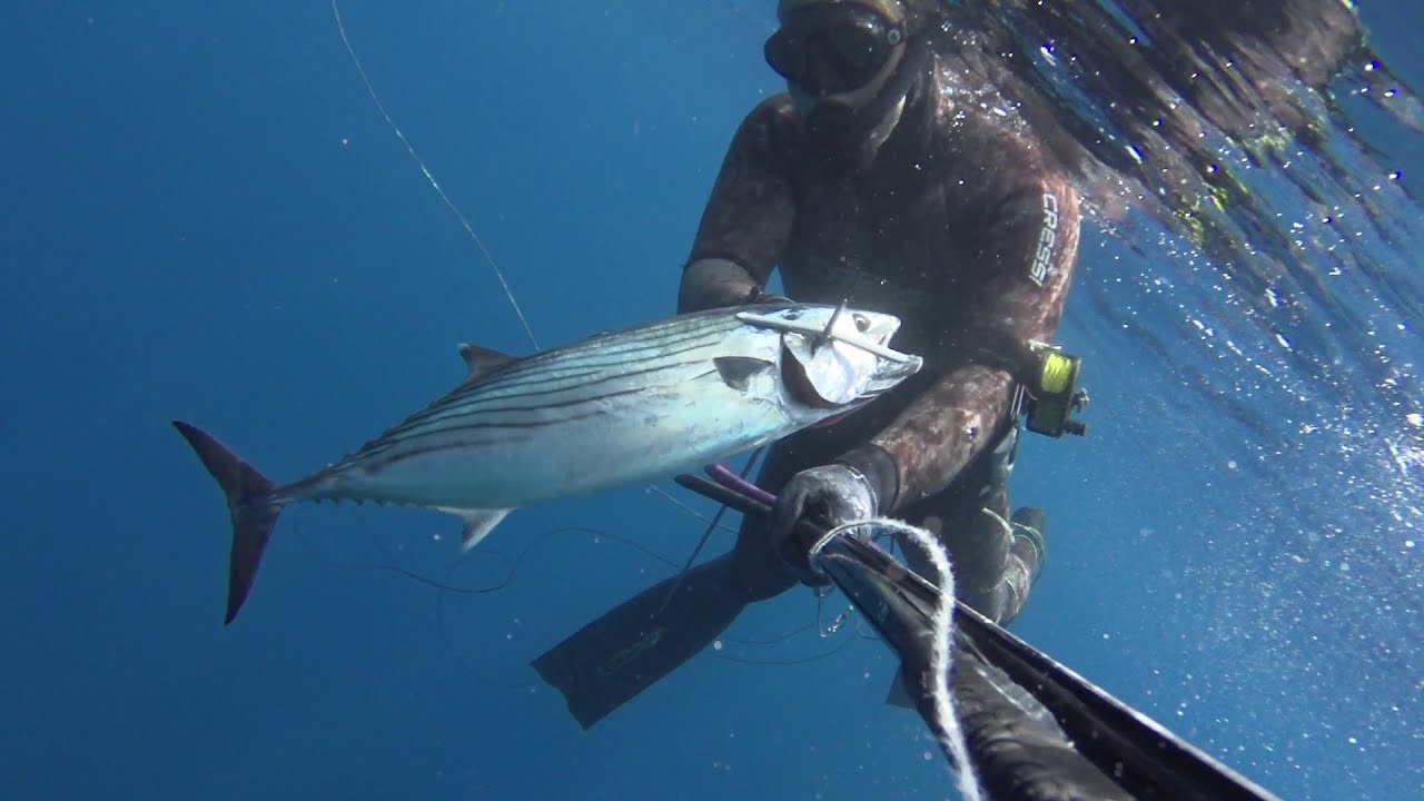 PESCA SUBMARINA. Pieceo Tenerife III