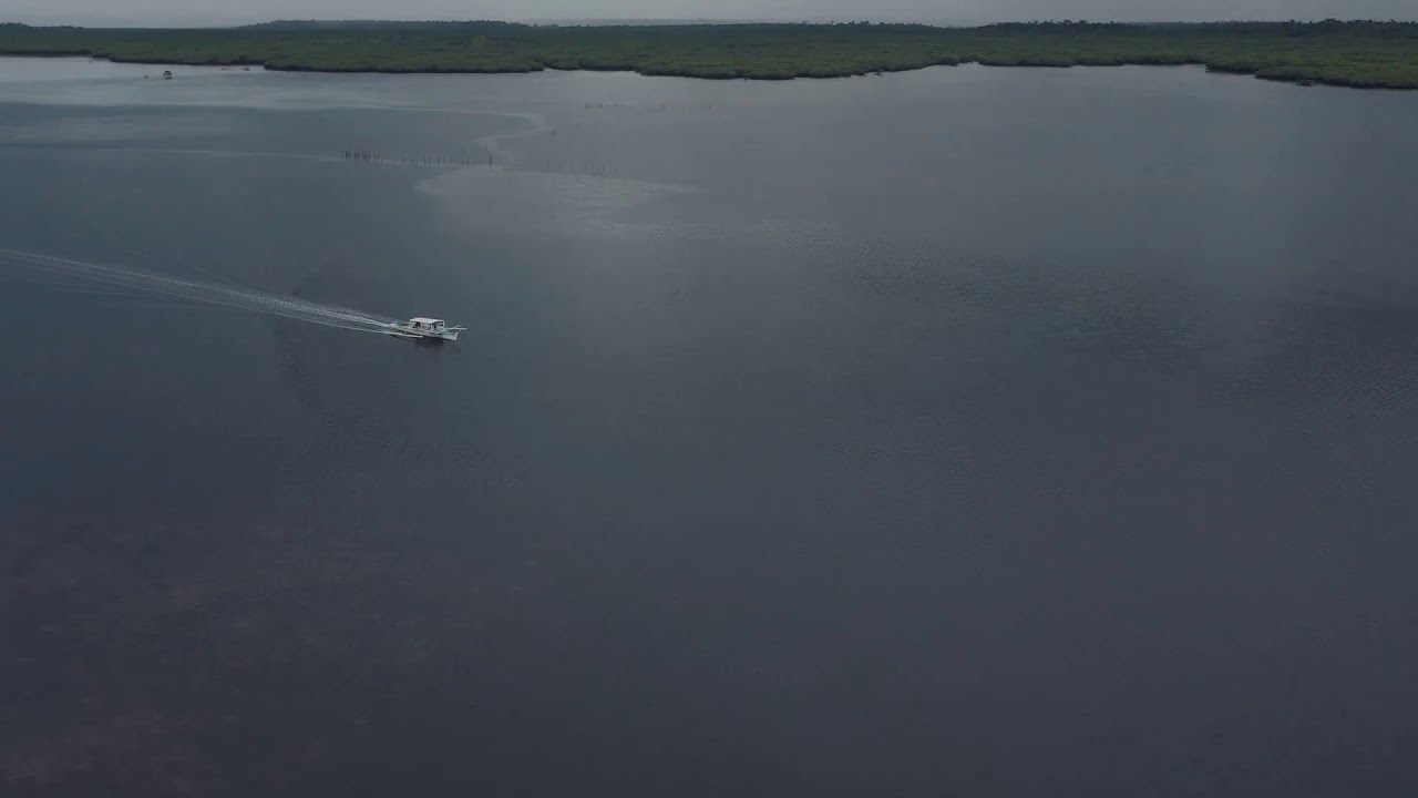 Bateau a moteur sur le lac - Clip Vid&eacute;o Libre de Droit