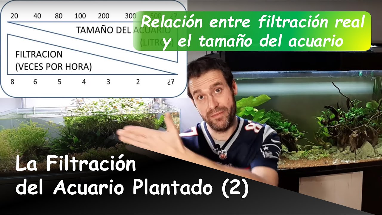 Diferencia entre Filtración TEÓRICA y REAL en un ACUARIO PLANTADO