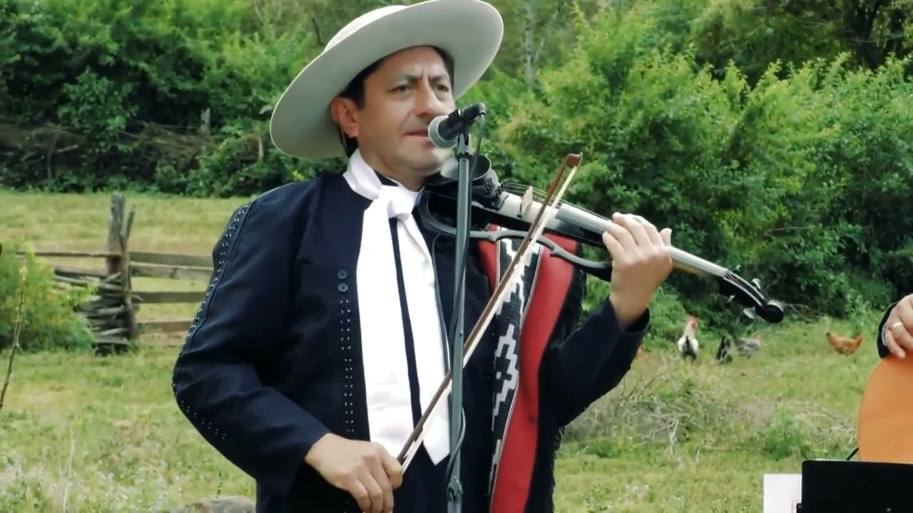 el Dañino (gato)