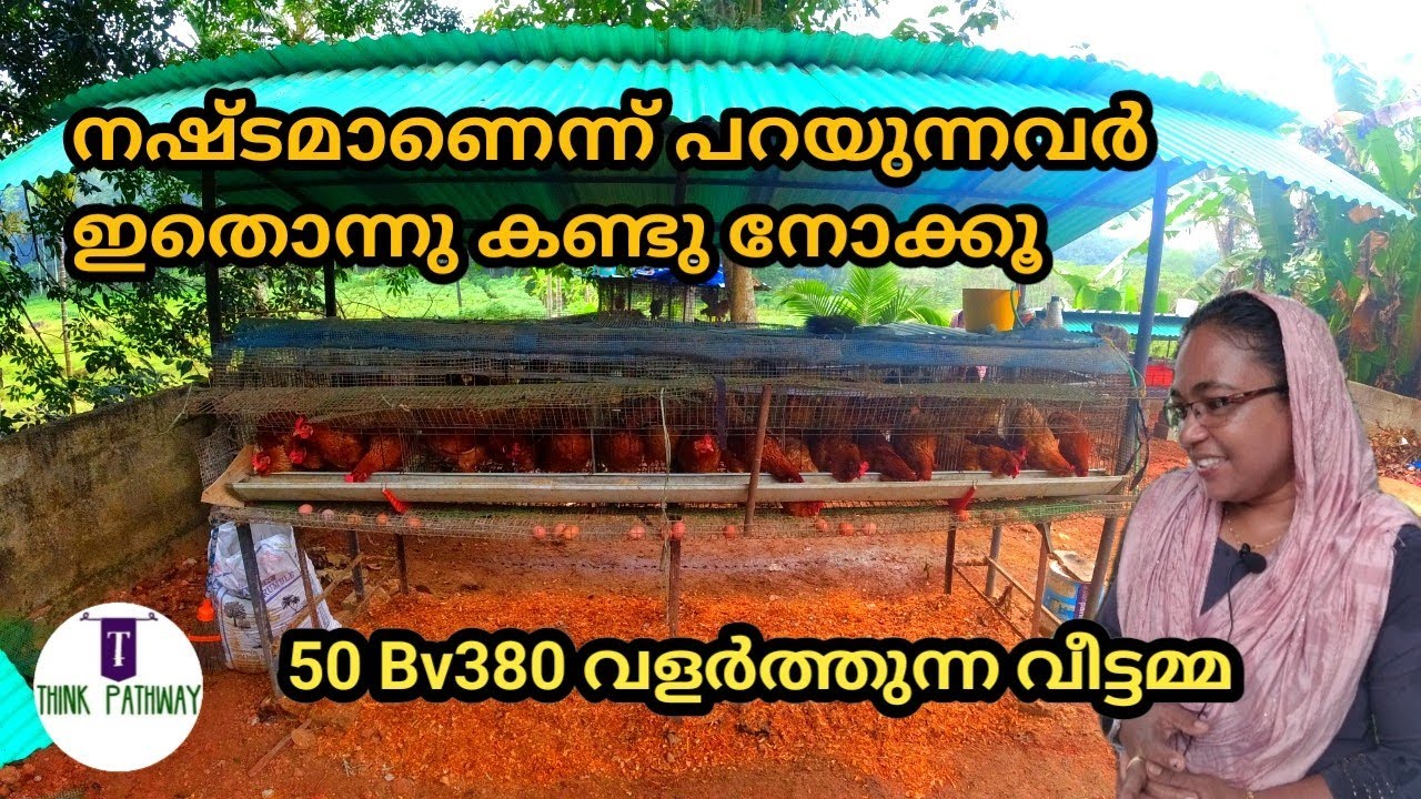 Bv380 kozhi valarthal