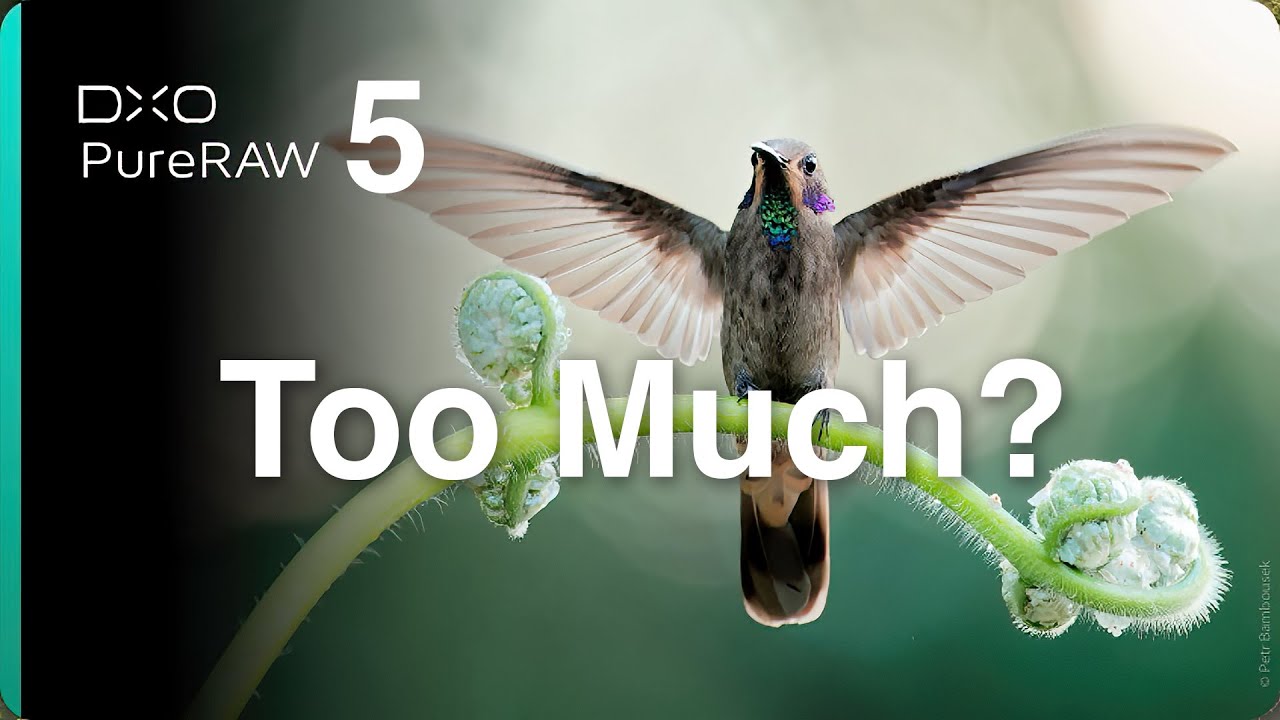 DxO PureRAW 5: Has DxO Added Too Much?