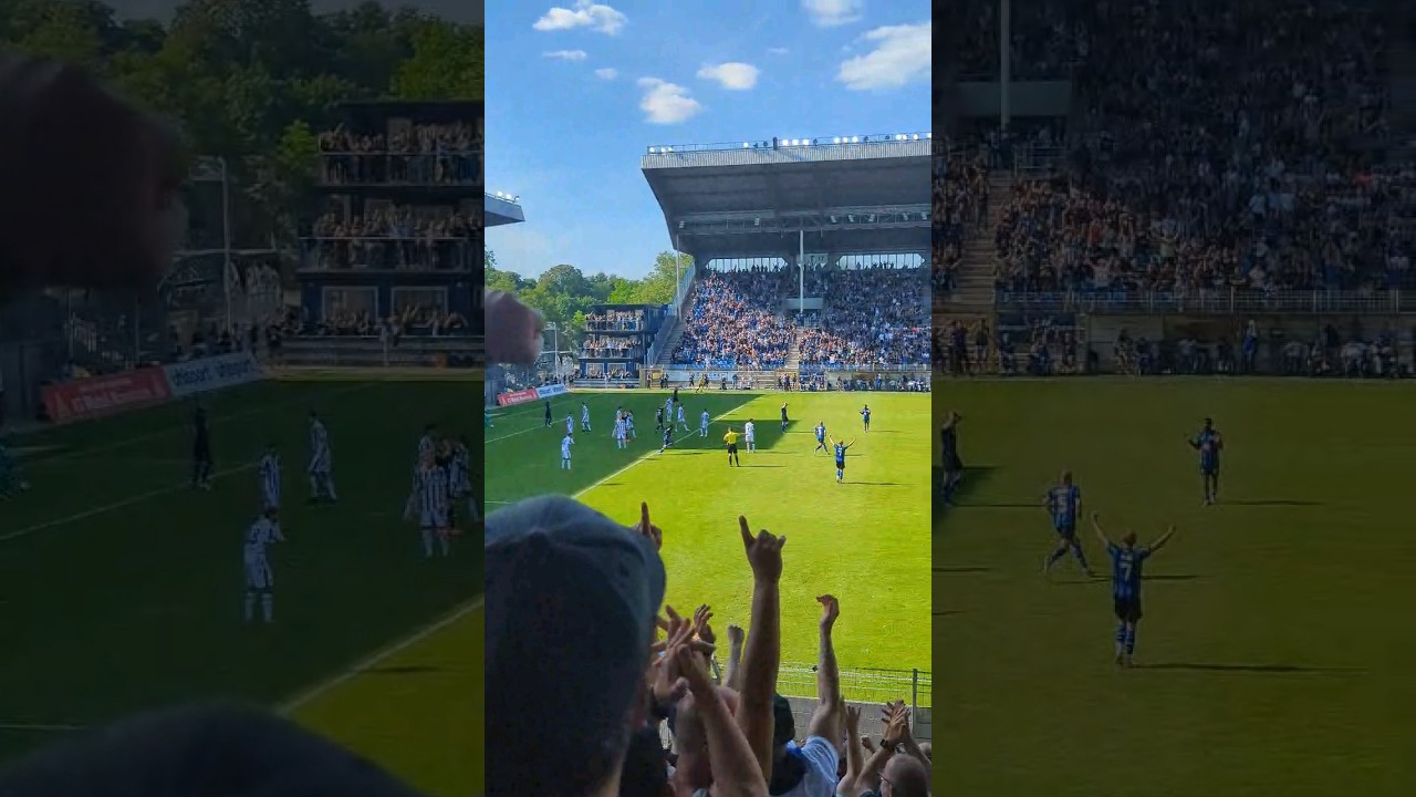#svw07 #svw #waldhof #mannheim #waldhofmannheim #sandhausen #ultras #fans #derby #3liga #ground #tor
