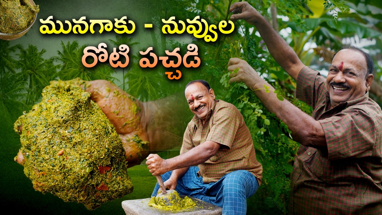 మునగాకు నువ్వుల రోటి  పచ్చడి😋👌 || ఒకసారి ఇలాచేసి రుచిచూడండి చాలాచాలా బాగుంటుంది ఆరోగ్యానికి👌 ||