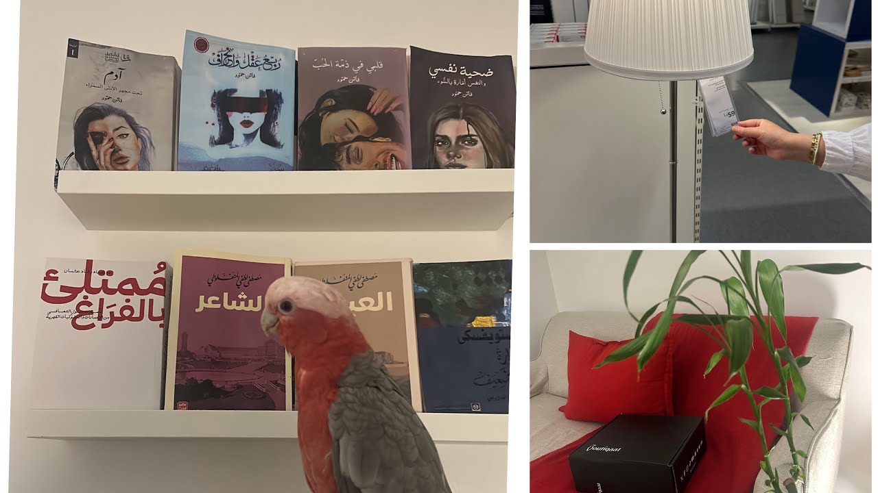 اشتريت كنبة جديدة لغرفتي/unboxing لبوتيكات  