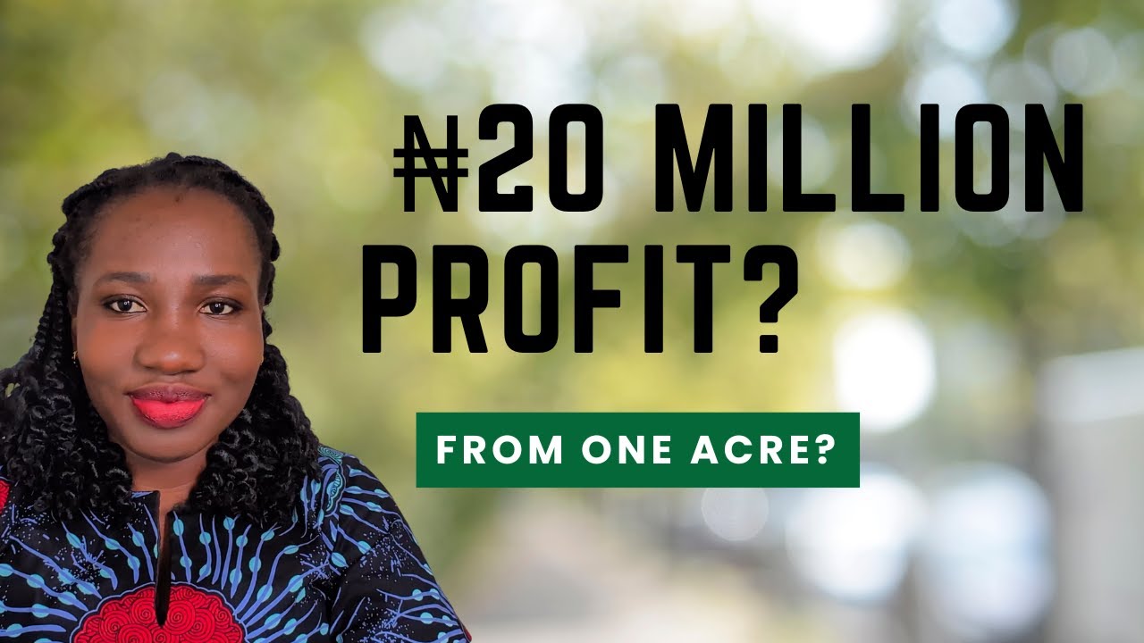 Is ₦20 Million Profit from 1 Acre of Grapes REALLY Possible in Nigeria? | A Data-Driven Analysis