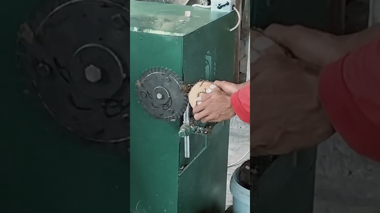 mesin kupas batok kelapa