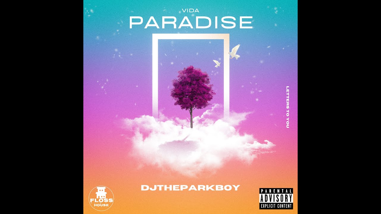 DJTheParkBoy  - Vida Paradise
