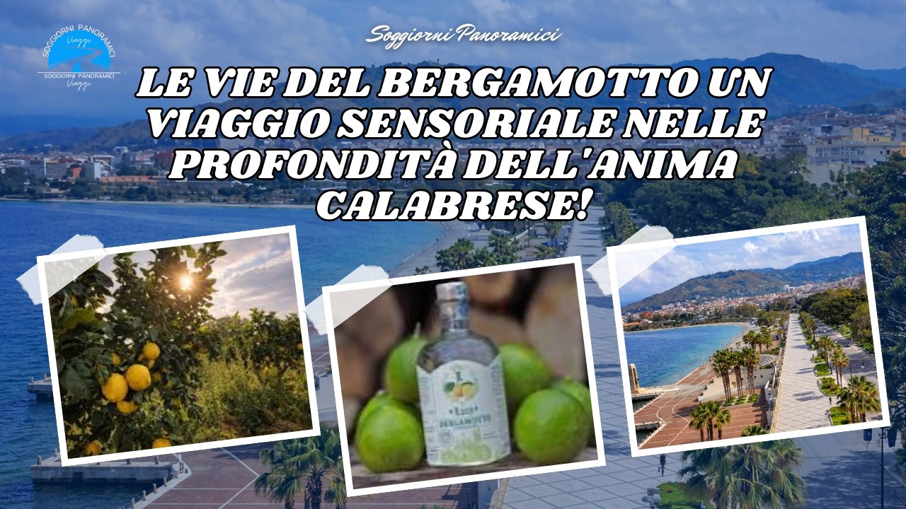 Le Vie del Bergamotto Un Viaggio Sensoriale nelle Profondità dell'Anima Calabrese!