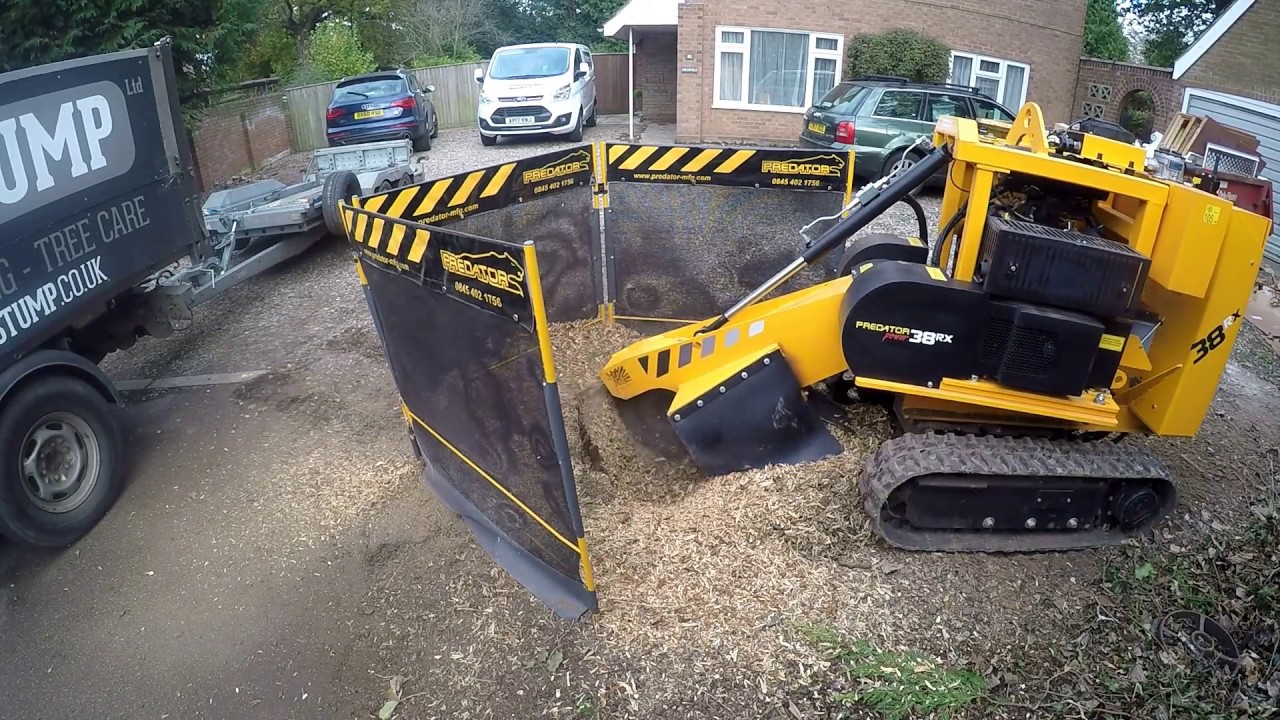 DR STUMP LTD Stump Grinding a Leylandii Stump with the Predator 38RX remote controlled stump grinder