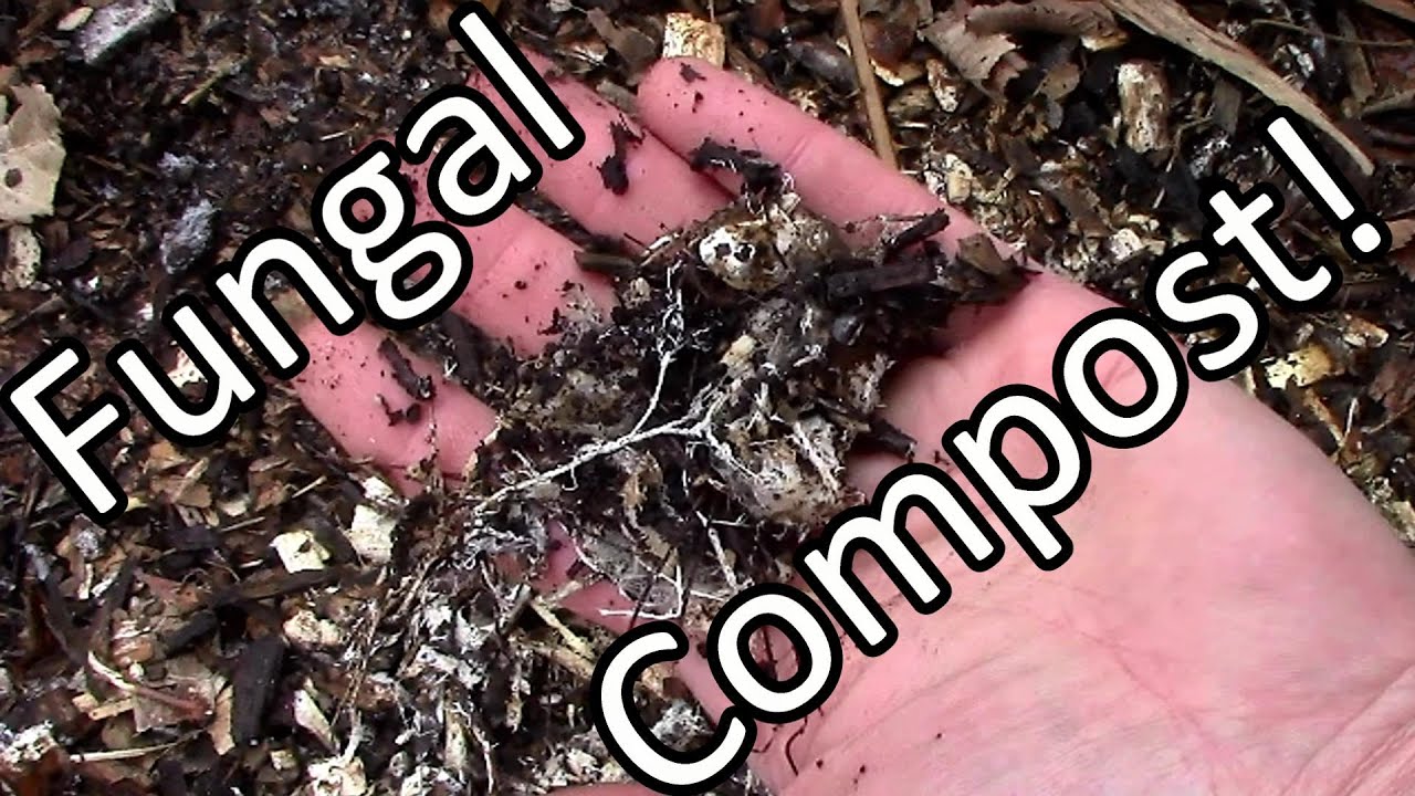 Free Fungally Dominated Compost & Mulch
