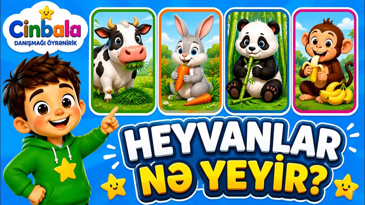 Heyvanlar ne yeyir? Ne Sualina cavab vermek. Cumle qurmaq. 5N1K kartlar