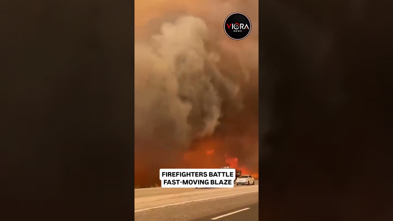 T&uuml;rkiye Wildfire: Forest Fire Rages in Seydikemer, Muğla | Breaking News | Viora News
