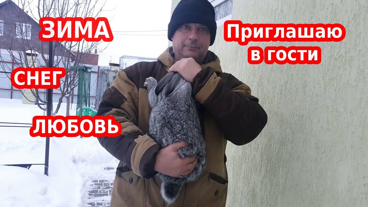 Зима. Снег. Любовь. Потрясающая музыка и обзор нашего двора