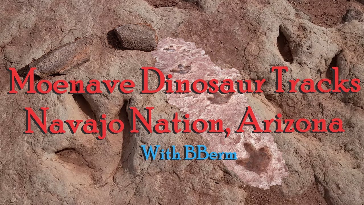 Dinosaur Tracks and Fossils in Arizona