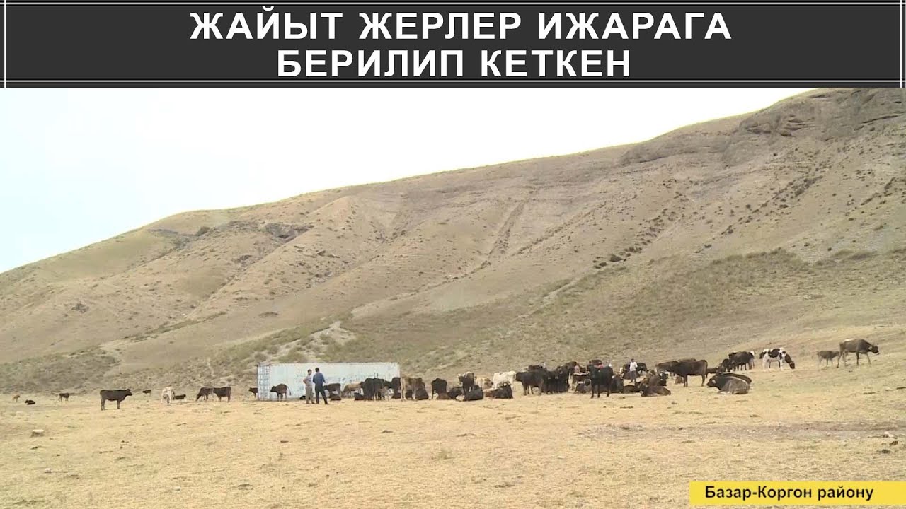 ЖАЙЫТ ЖЕРЛЕР ИЖАРАГА БЕРИЛИП КЕТКЕН