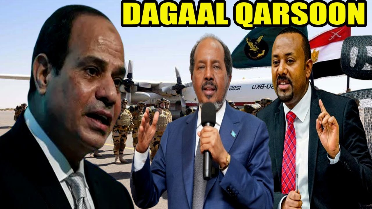 Shirka Masar, Somalia Eritrea& Jabuuti, Abiye oo Loo tashaday, Farmajo oo Aadan Cadde laga diray & D