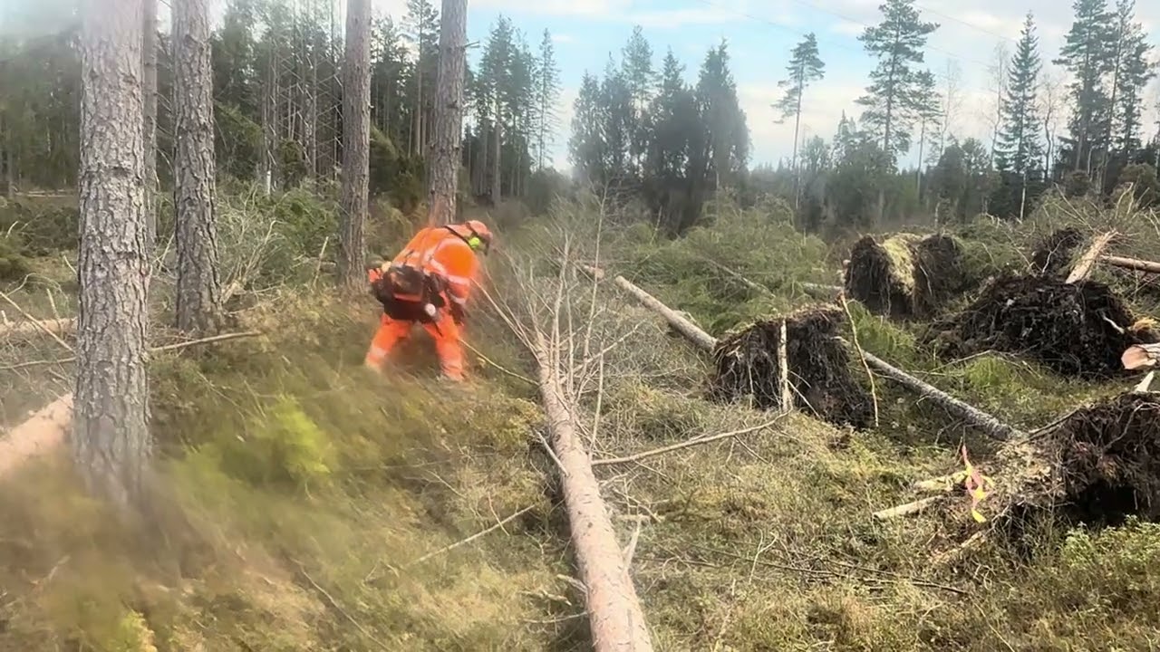 Verkar vara kr&aring;ngel med ljudet igen. Testar l&auml;gga ut en kortfilm 