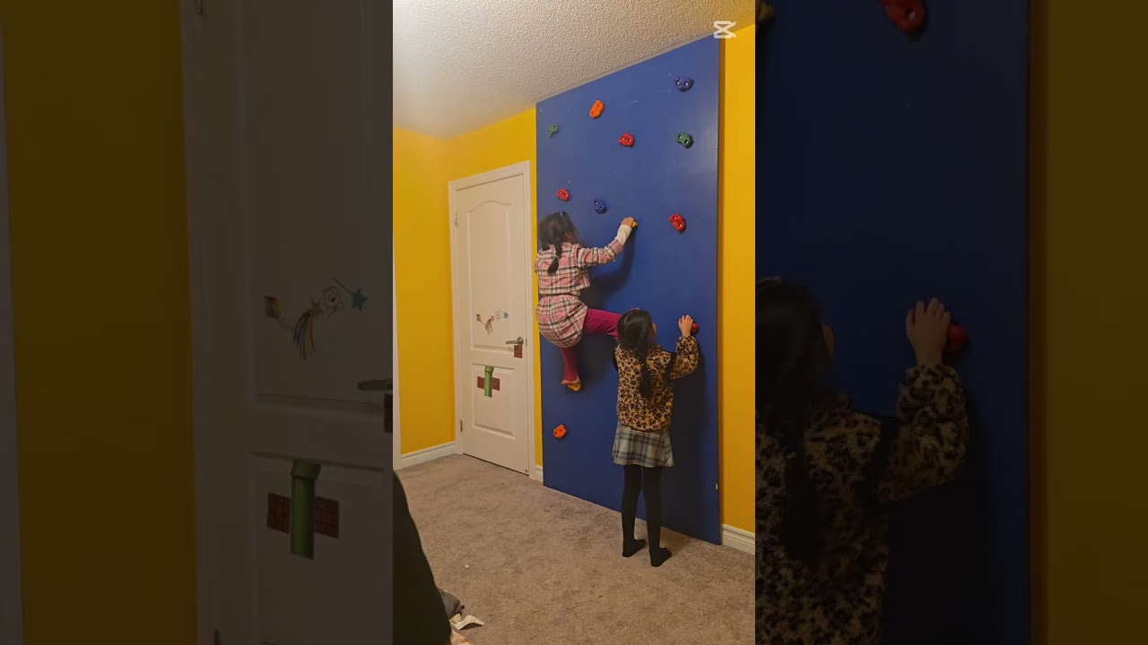 Diy climbing wall and jungle gym for kids