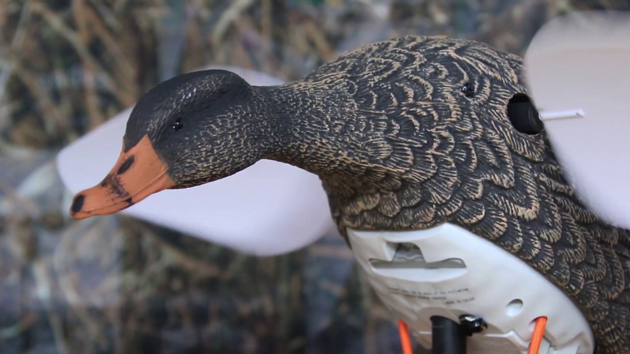 Appelant canard colvert ailes tournantes Lucky HD par LUCKY DUCK