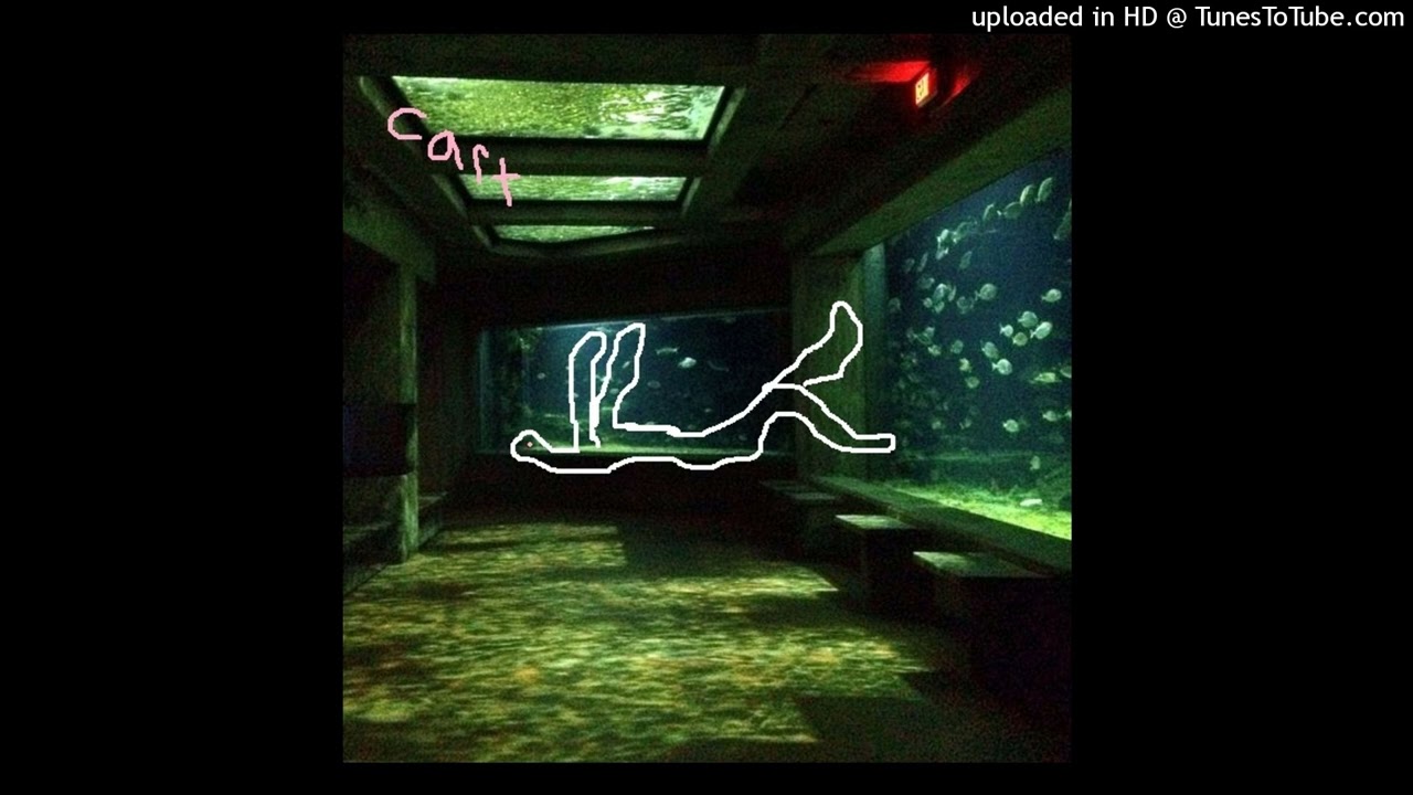 fish swim