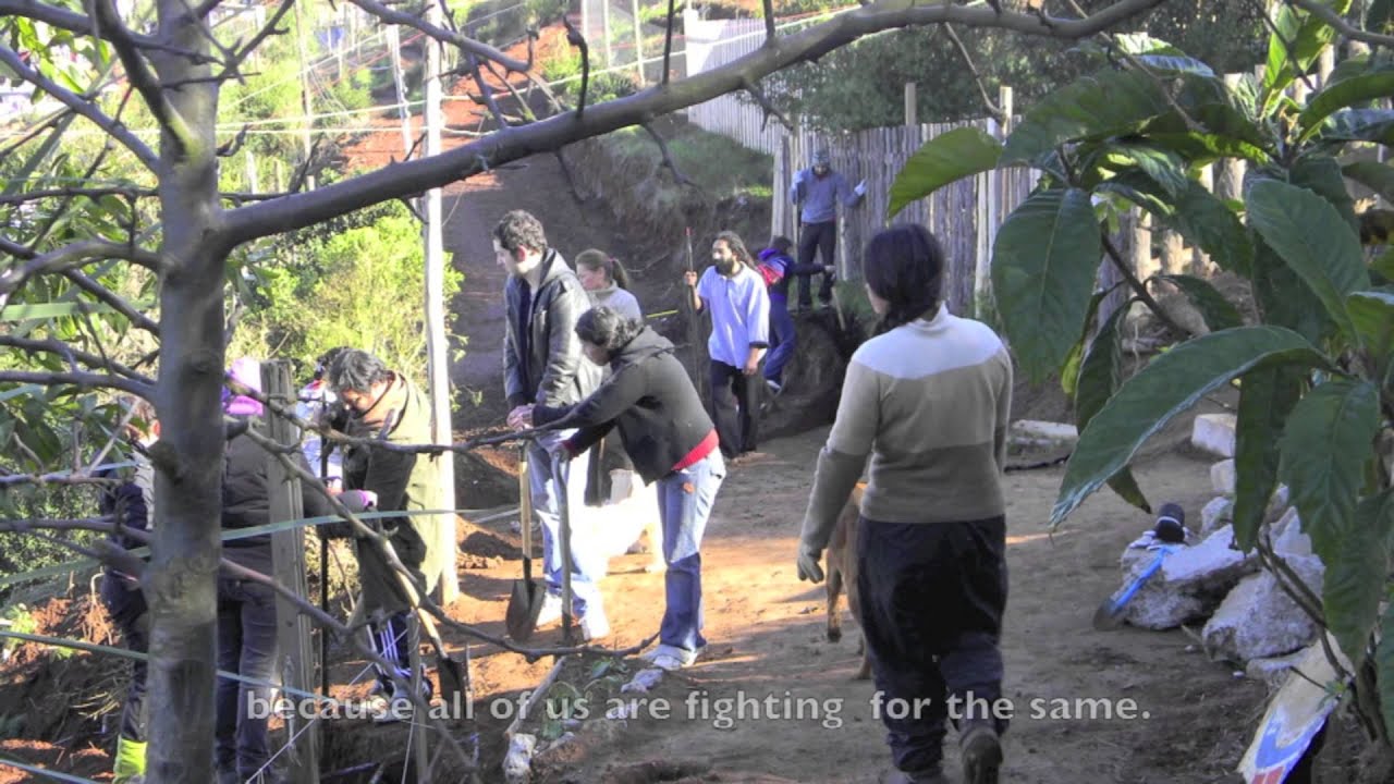 Squator Settlement - Maria Ossul Vermehren, Development Planning Unit, UCL