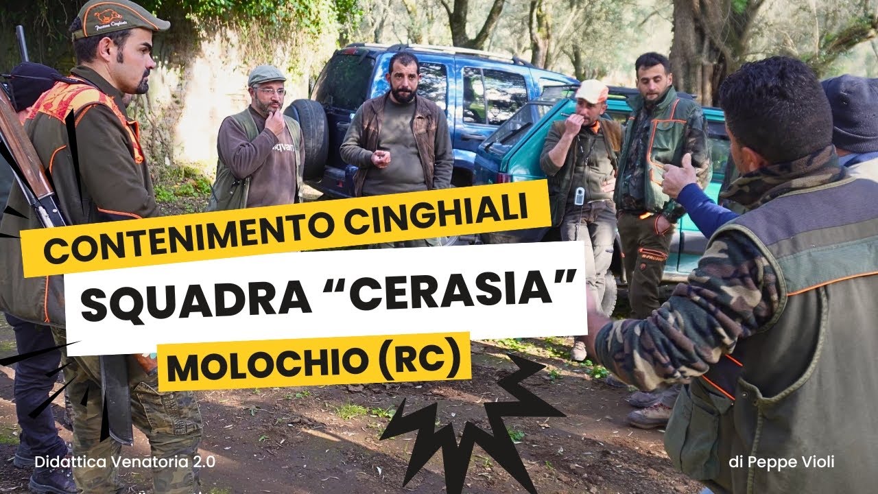 Contenimento cinghiali - squadra 