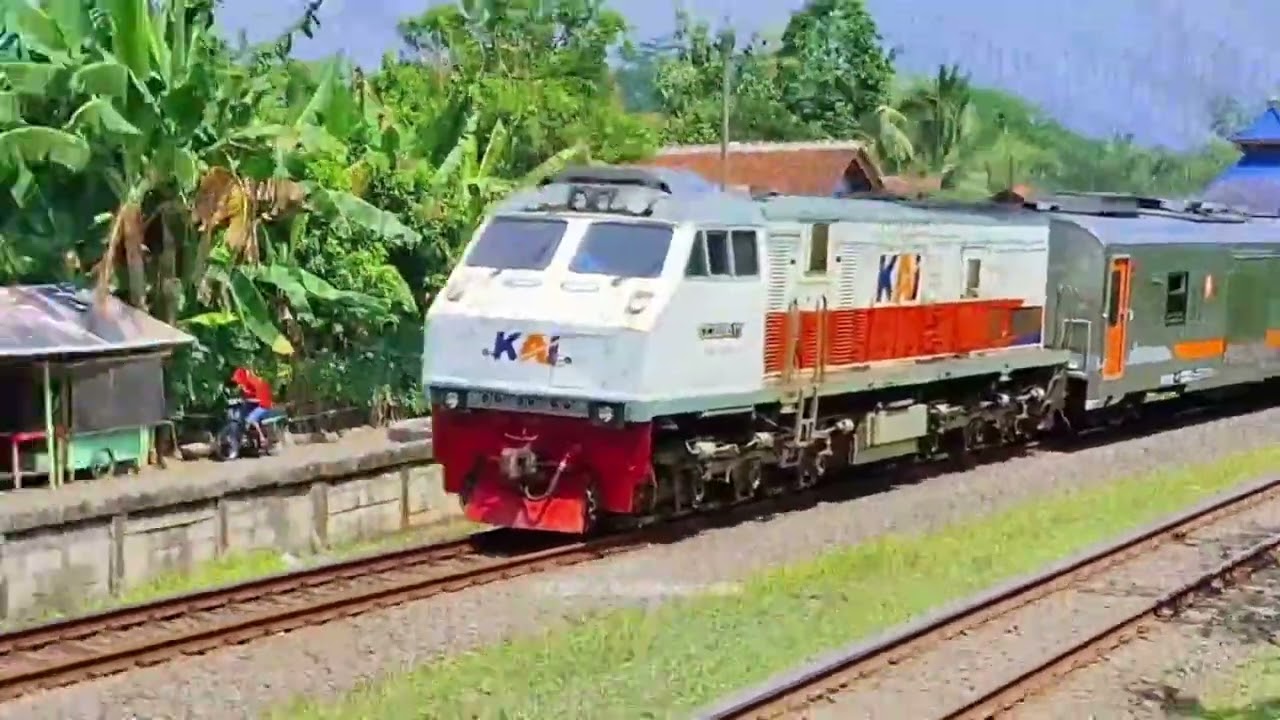 KERETA API PANJANG‼️ MENEMUKAN 31 KERETA API PANJANG DI PALANG PINTU MANTAP