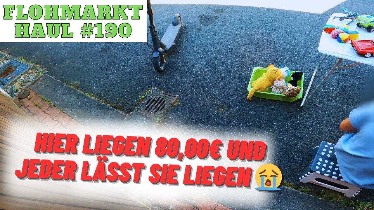 SELTENE NINTENDO KONSOLE in OVP gefunden 🥰 Flohmarkt / Trödelmarkt schmeckt mal wieder ordentlich