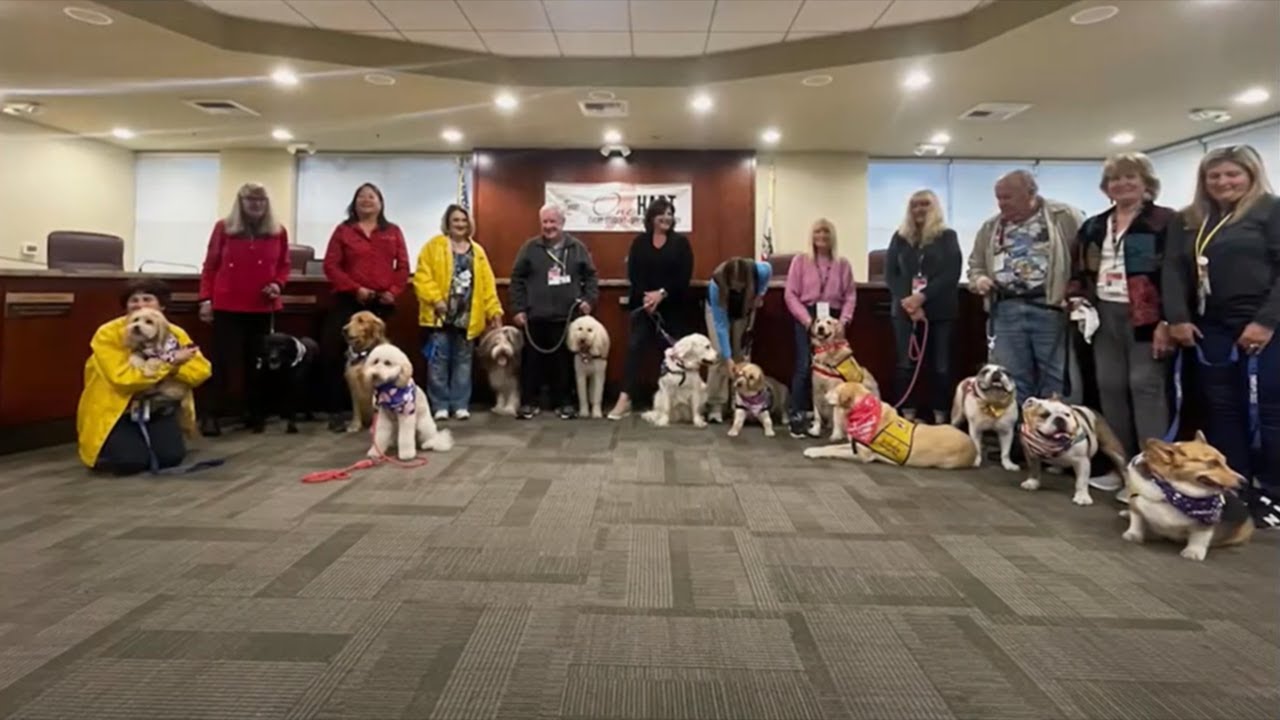 Hart District Therapy Dogs on Community Corner