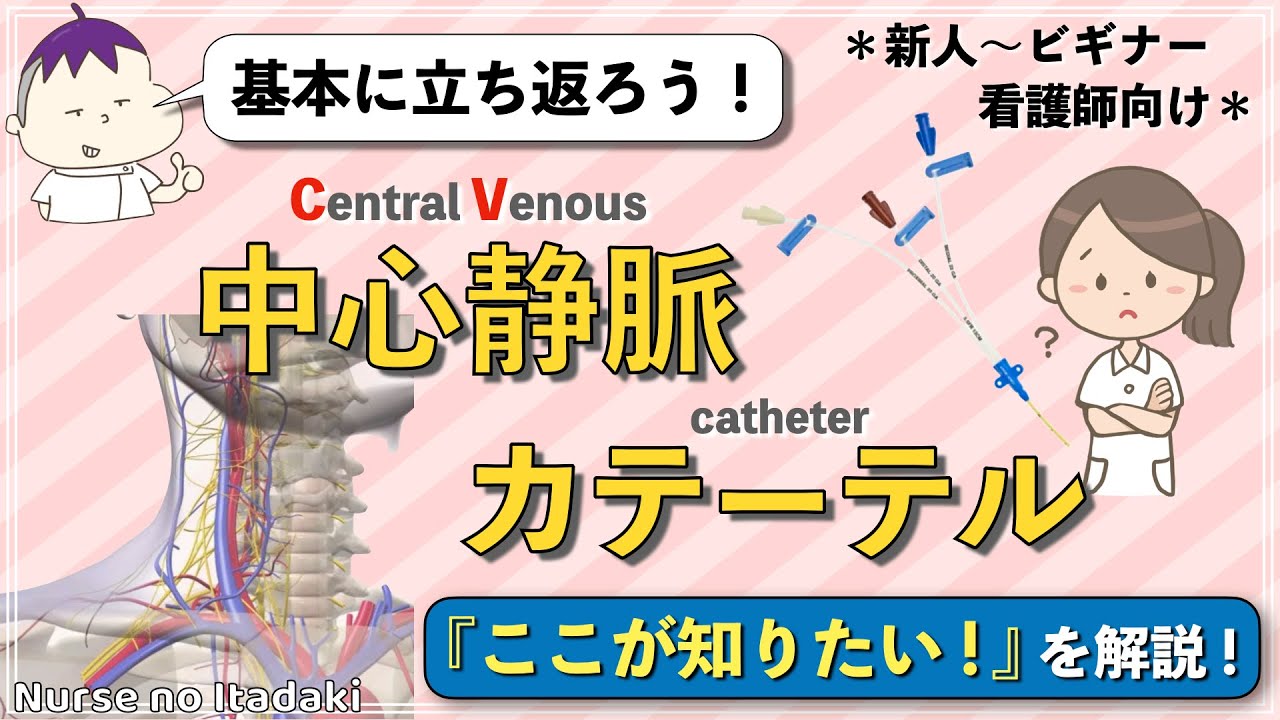 【CVのココが知りたい！】中心静脈カテーテルの基本を解説！