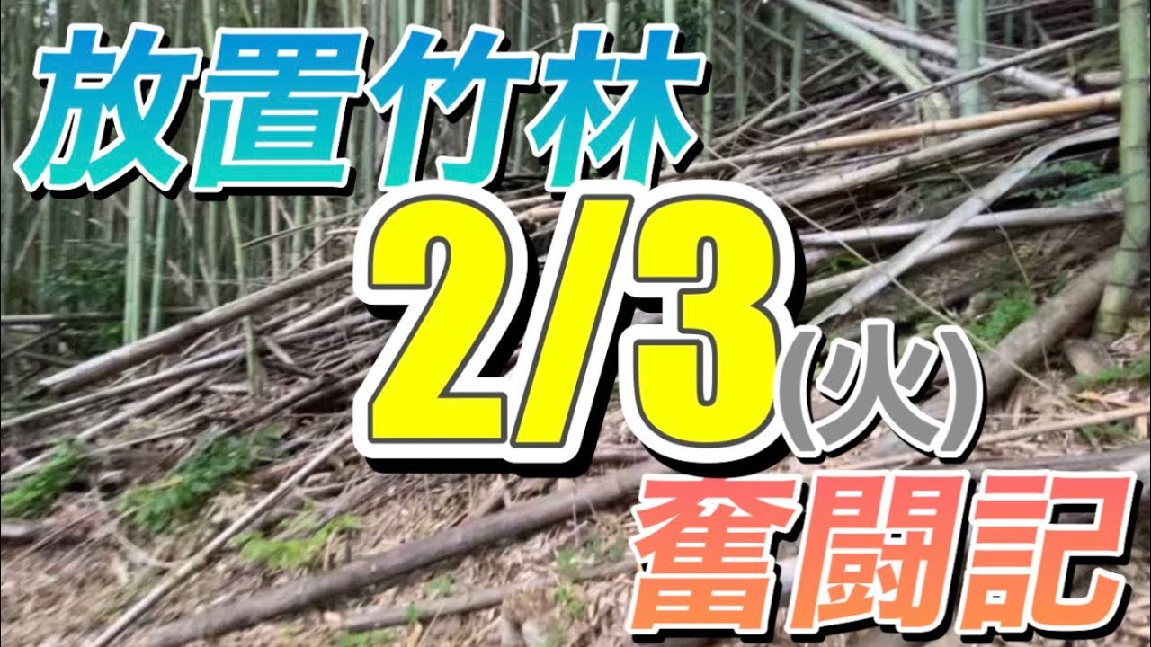 放置竹林奮闘記【早期退職者が竹を切る日々】2026/02/03