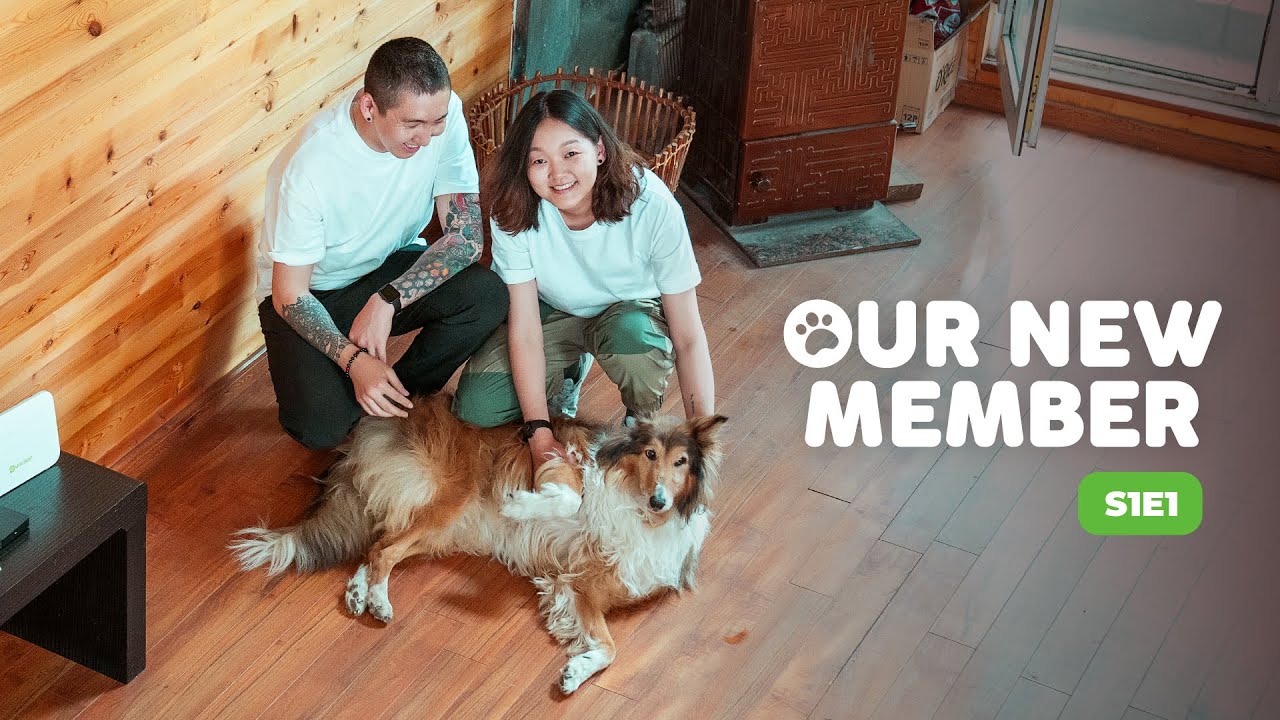 Our New Member | Season 1 | Ep 1 | Bodi