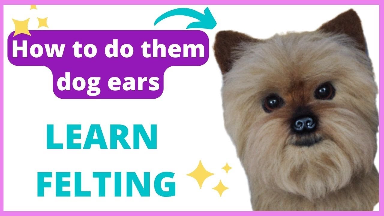 Needle FELTING DOG ears 🐶 TUTORIAL for beginners