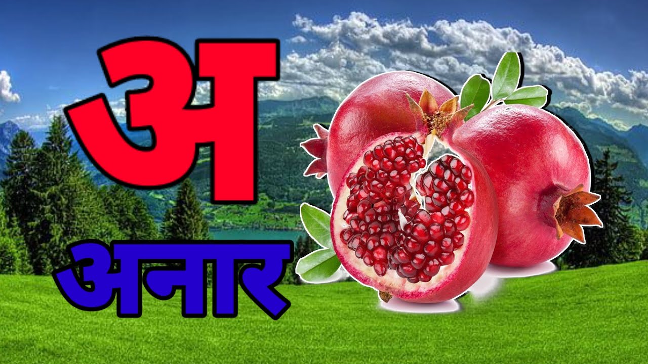 A Se Anar,अ से अनार ,आ सेआम,हिंन्दी वर्णमाला,अआइई ,क से कबूतर ,Aa Se Aam,हिन्दी स्वरमाला
