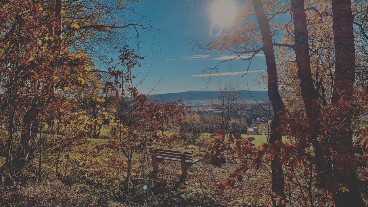 🥾 Spiegelwald & König-Albert-Turm (Erzgebirge)