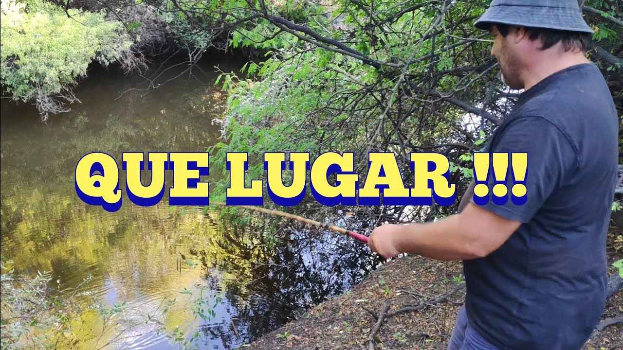 Pesca en la laguna del Indio y arroyo Solís chico en Pesca en agua dulce
