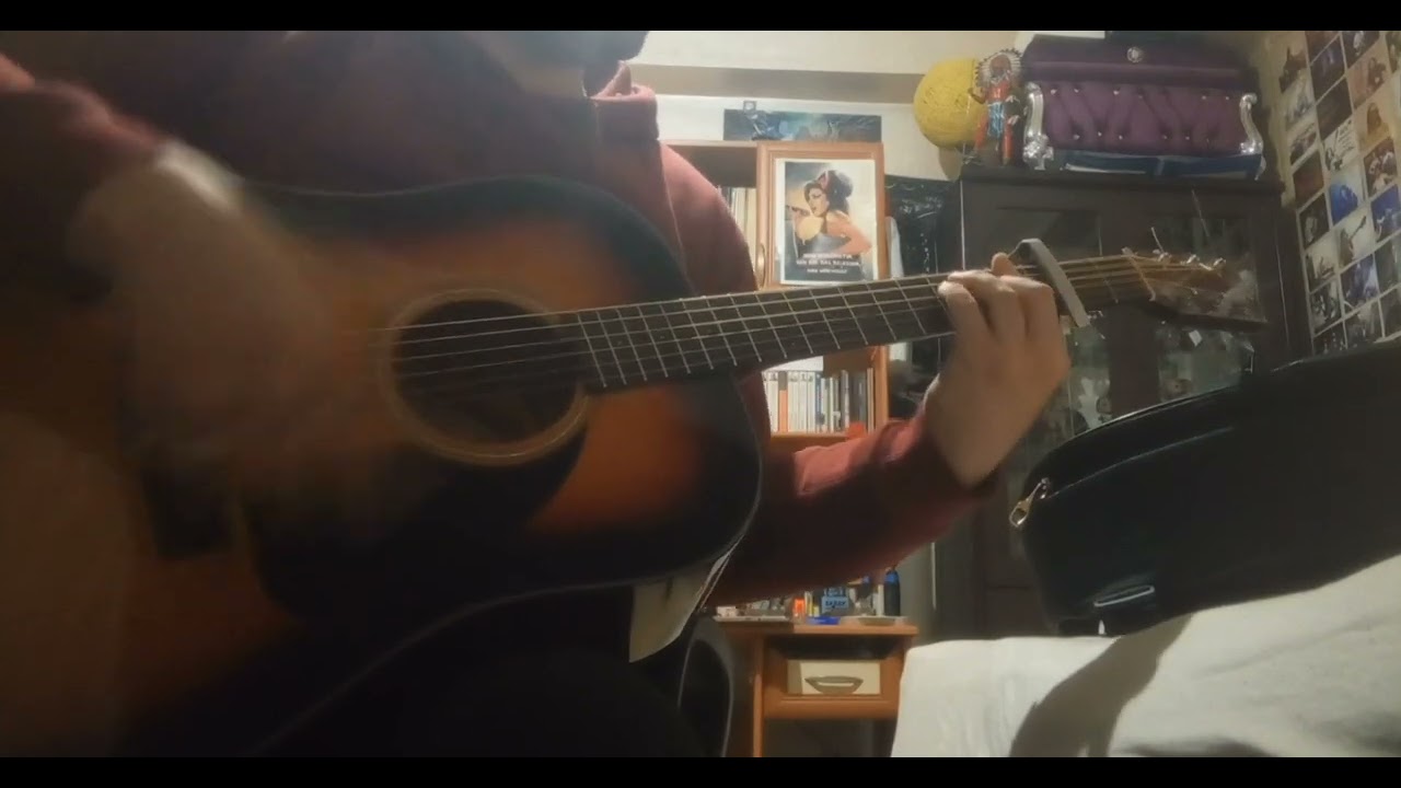 Sia Titanium Accoustic Guitar