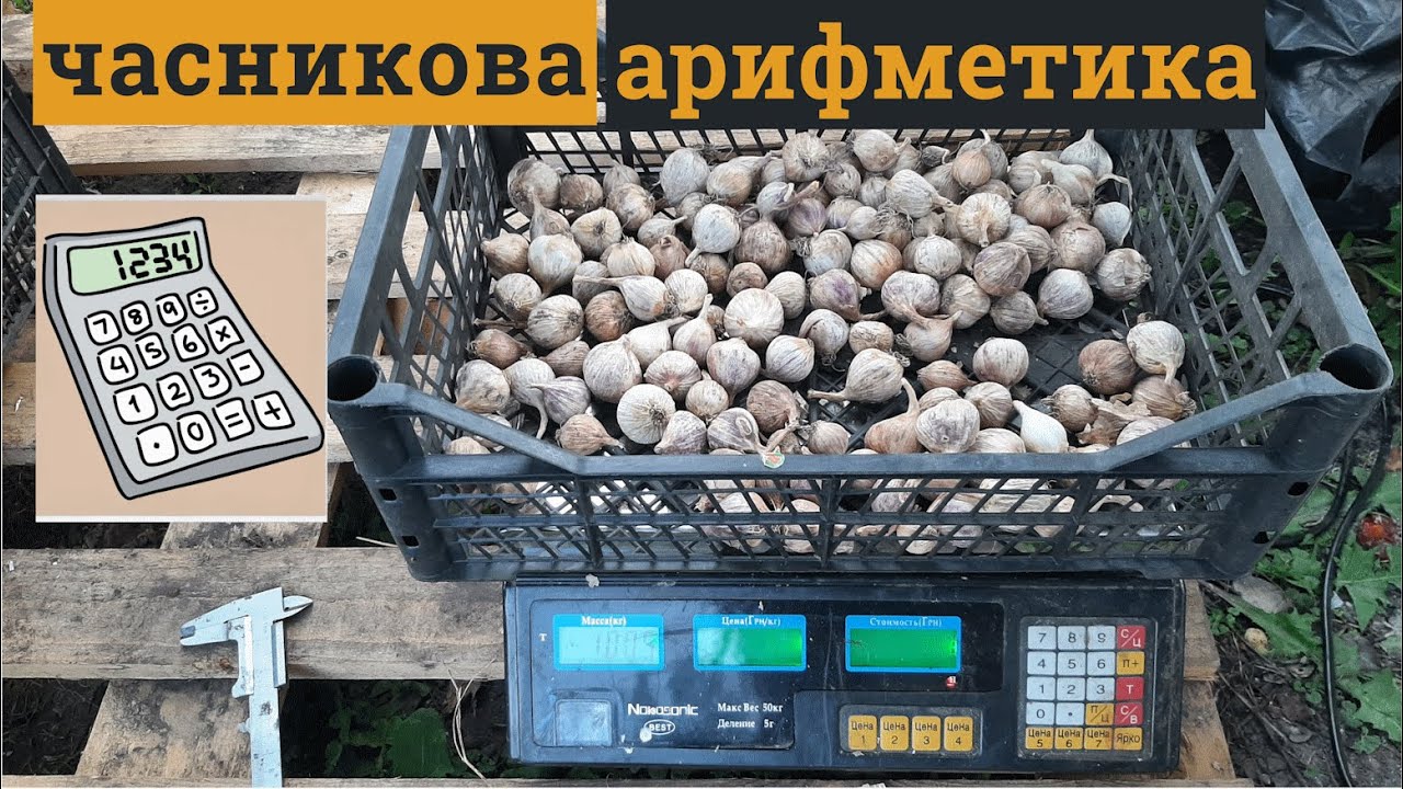 Скільки однозубки потрібно на посадку @VadymMisko