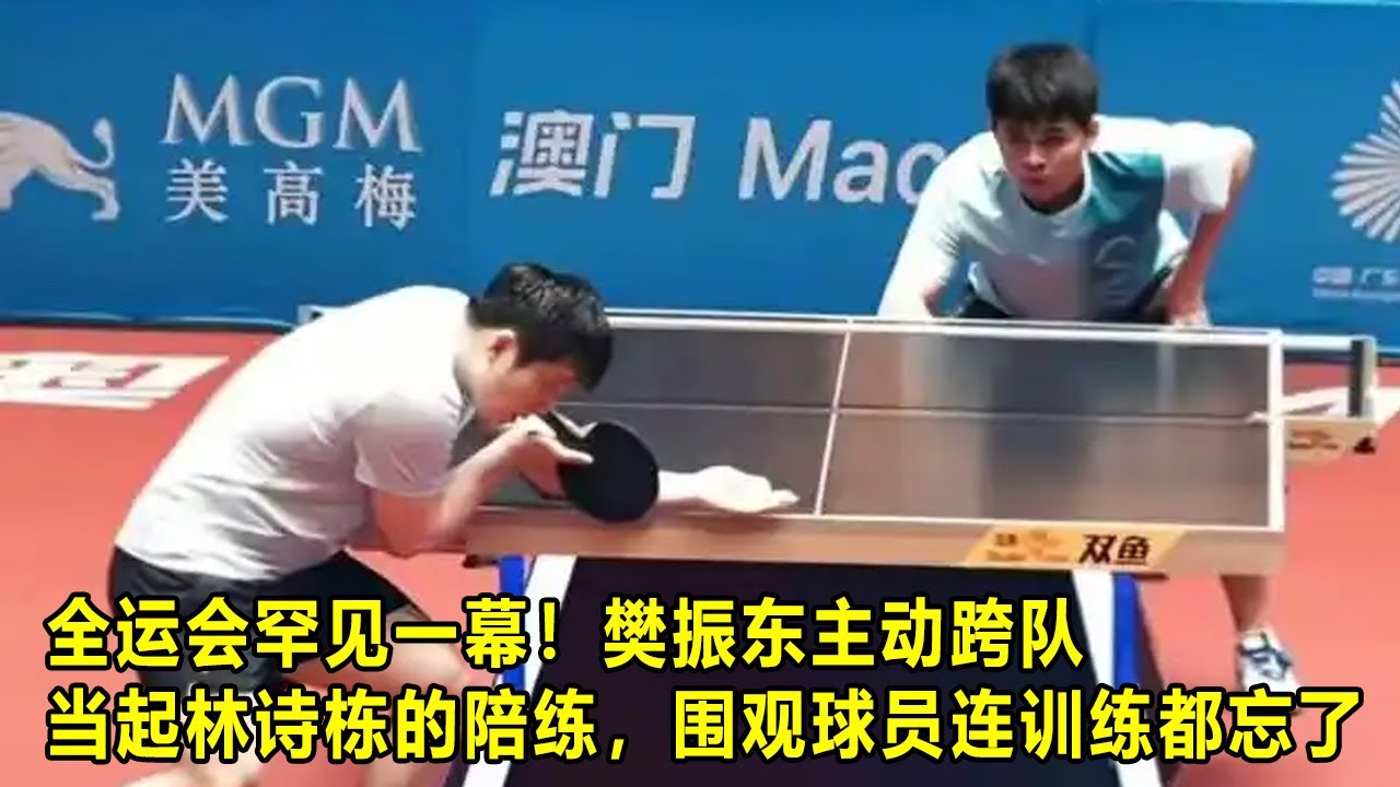 全运会罕见一幕！樊振东主动跨队，当起林诗栋的陪练，围观球员连训练都忘了