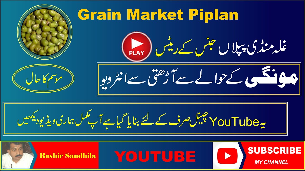 Ghala Mandi Piplan l Mung rate update l Bashir Sandhila