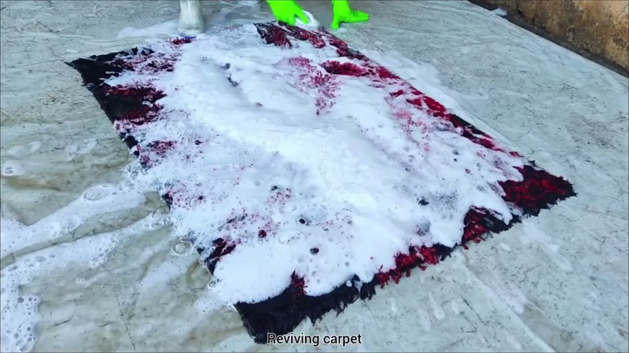 FULL VIDEO Satisfying Rug Cleaning ASMR ~ Reviving Carpet